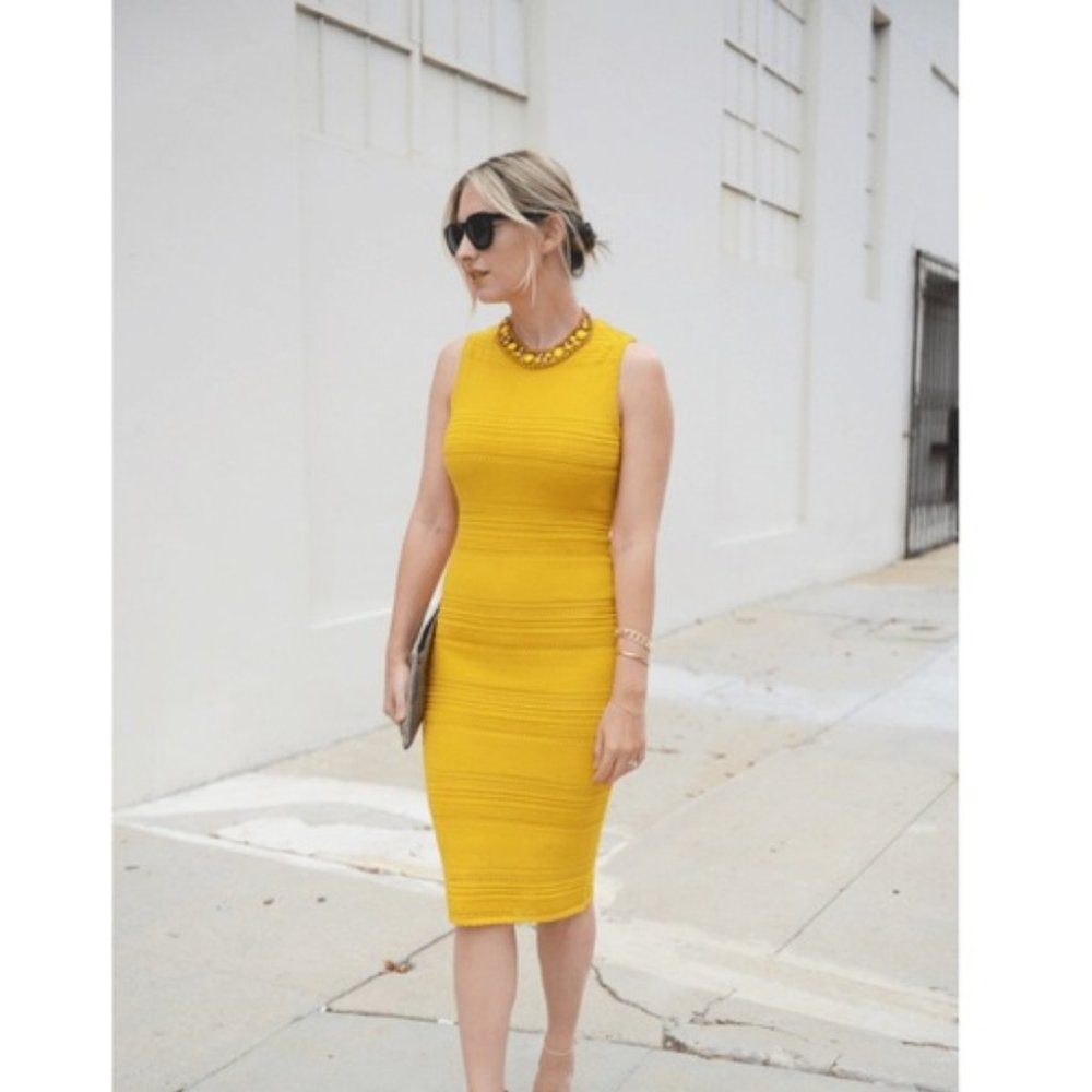 "Ambrosia" styleTorn Ronny Kobo V-neck dress